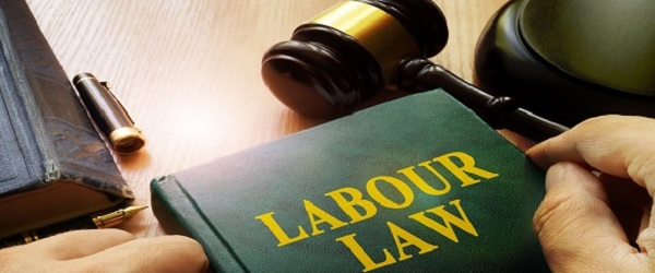 Condition Labor Laws and regulations That Support Better Working Atmosphere within the Offices