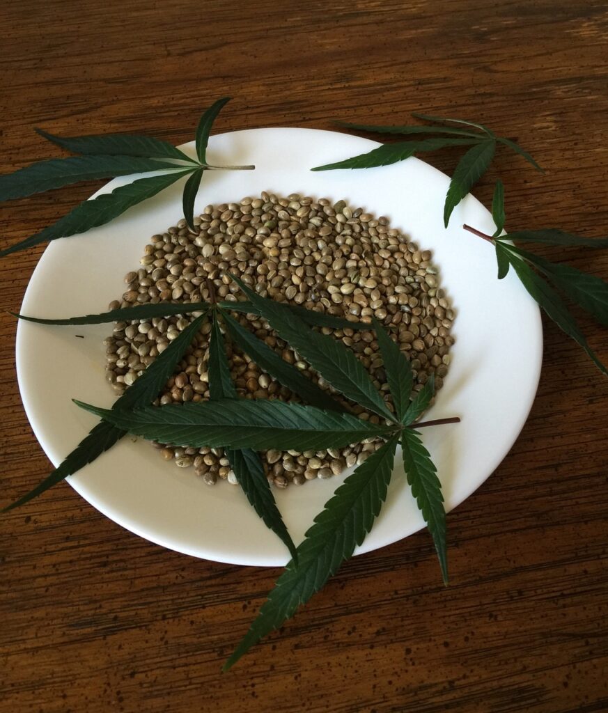 Solve The Issues Of Quality In Cannabis Seed Here