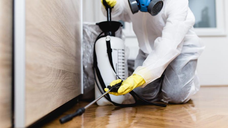 Benefits of hiring a commercial pest inspection company